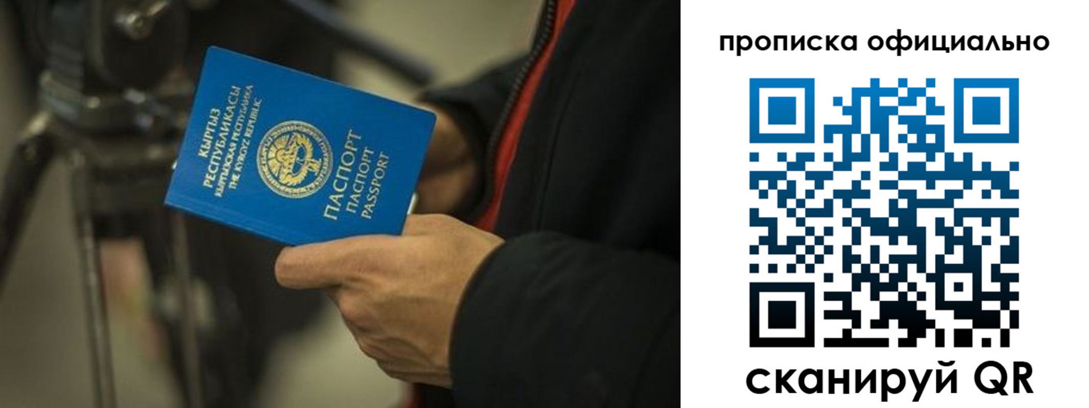 прописка в Дорогобуже